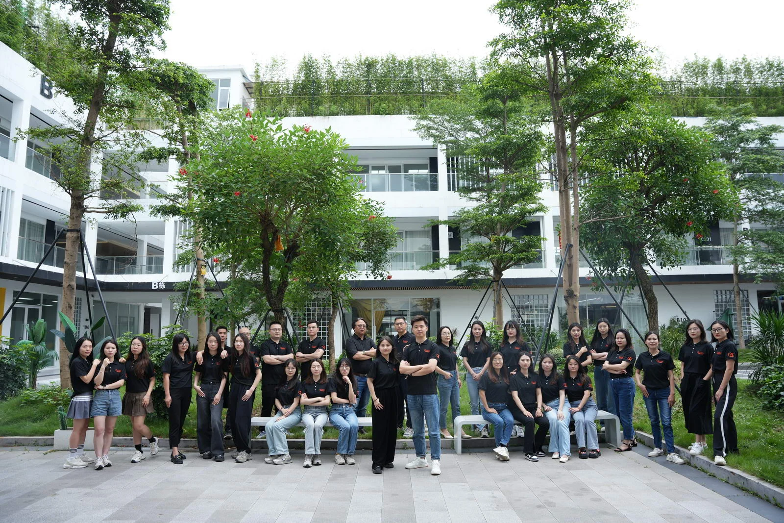 Meet the Working Team — company photo 1