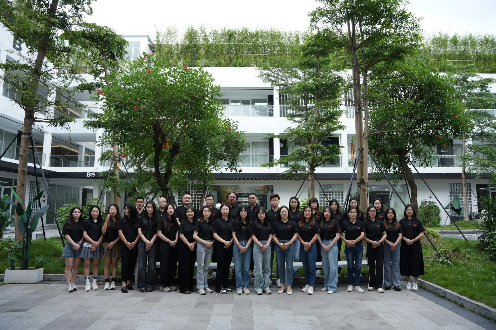 Meet the Working Team · view 11